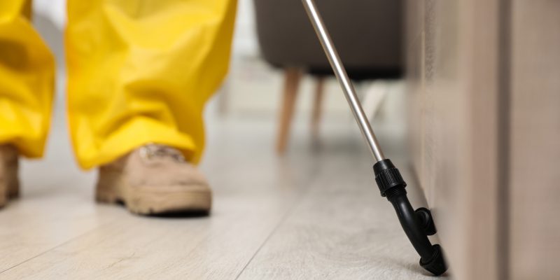 When to Schedule a Commercial Termite Inspection