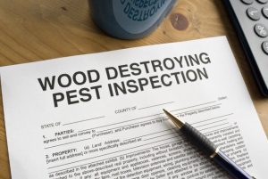 Four Scenarios That Call for a WDI Report