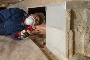Key Qualities to Look for in Termite Inspection Companies